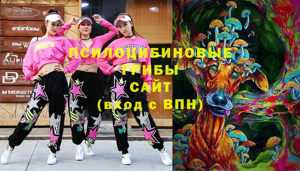 бошки Абинск