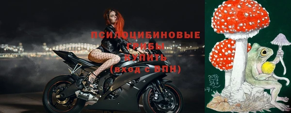 сатива Абаза