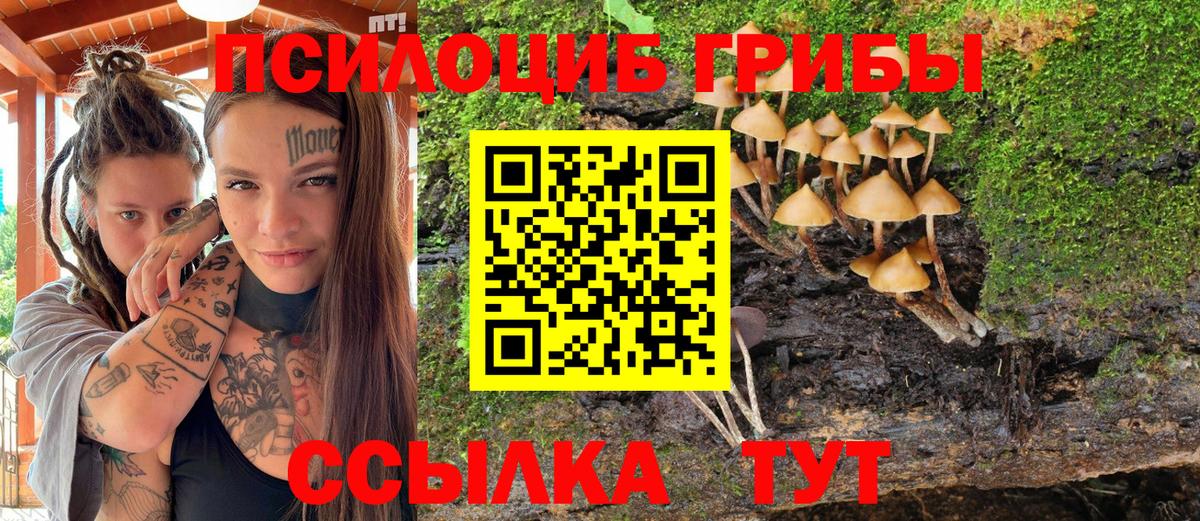 Аксай  Псилоцибиновые грибы Magic Shrooms  наркотики  Вход с VPN 